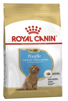 Royal Canin Poodle Yavru 3 kg Köpek Maması kullananlar yorumlar